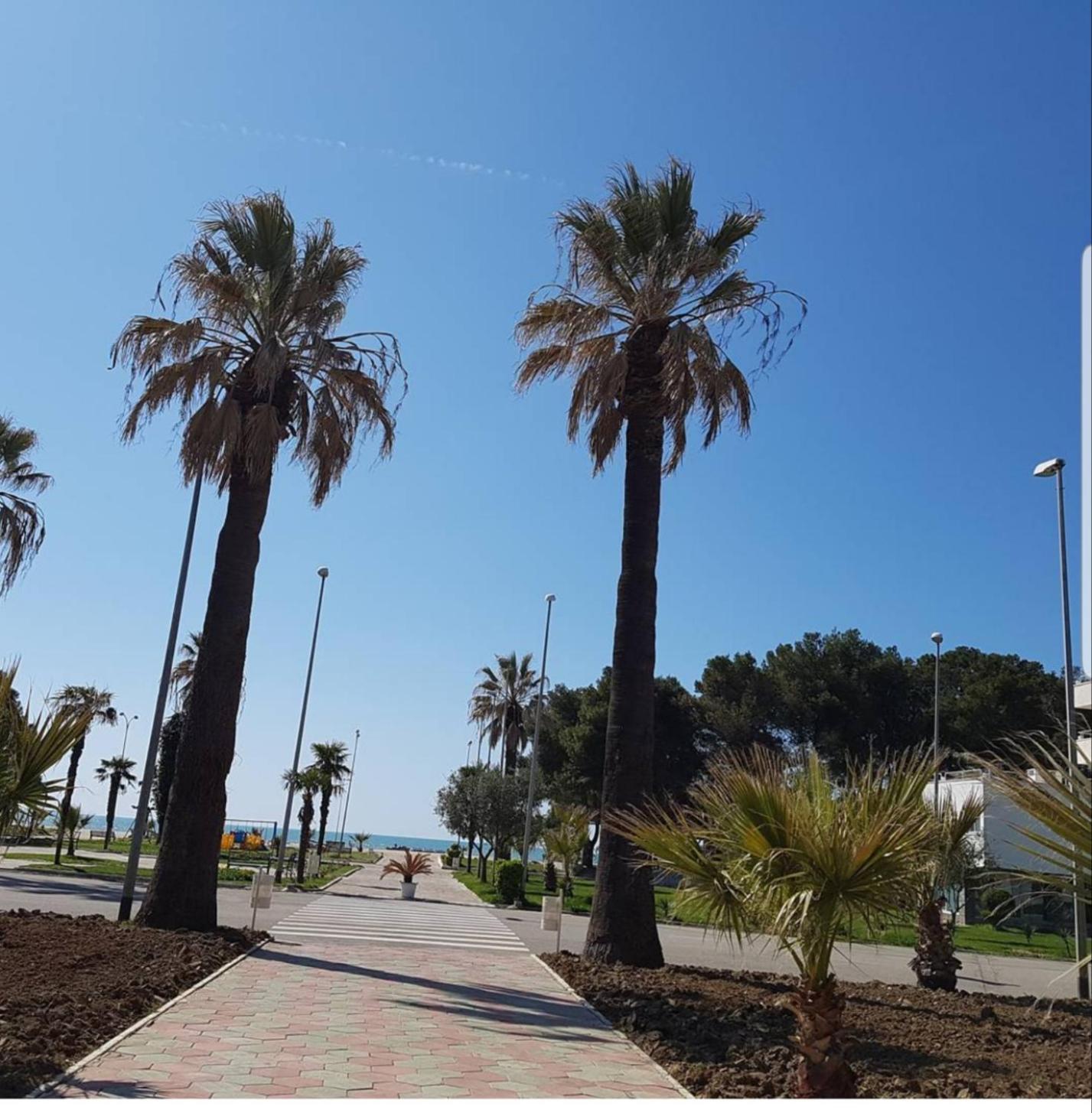 Amaris Apartments Durres Room photo